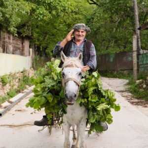 "Hazel"- Racha, Georgia, 2023 Hahnemuhle photo rag A3