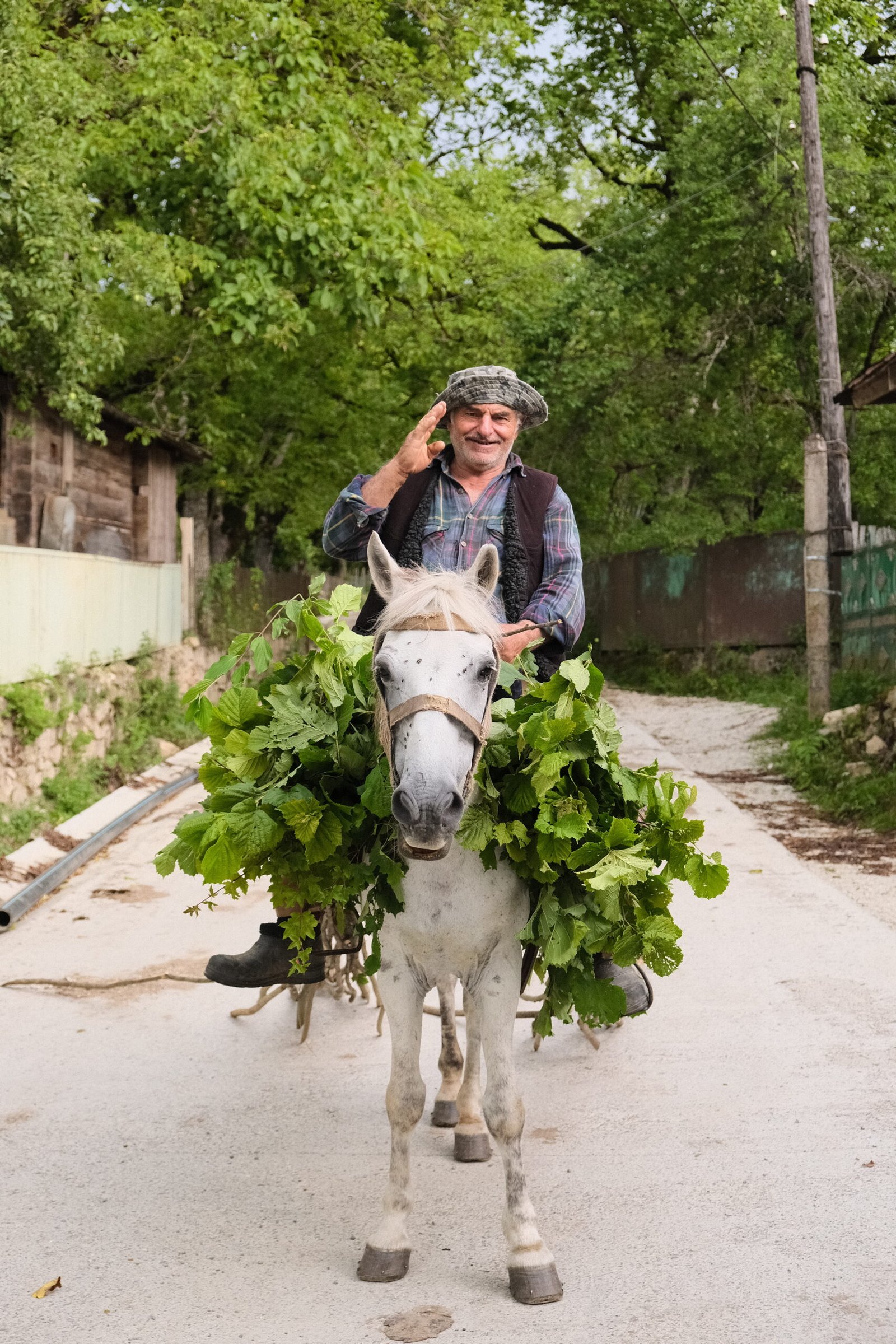 "Hazel"- Racha, Georgia, 2023 Hahnemuhle photo rag A3